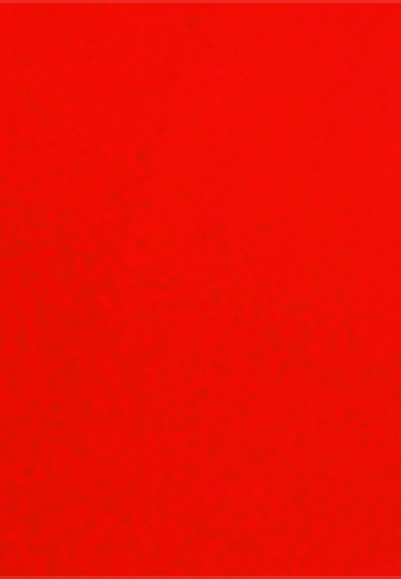 Uni Langarm Rot Kragen Rose Sommerkleid seidensticker Schwarze