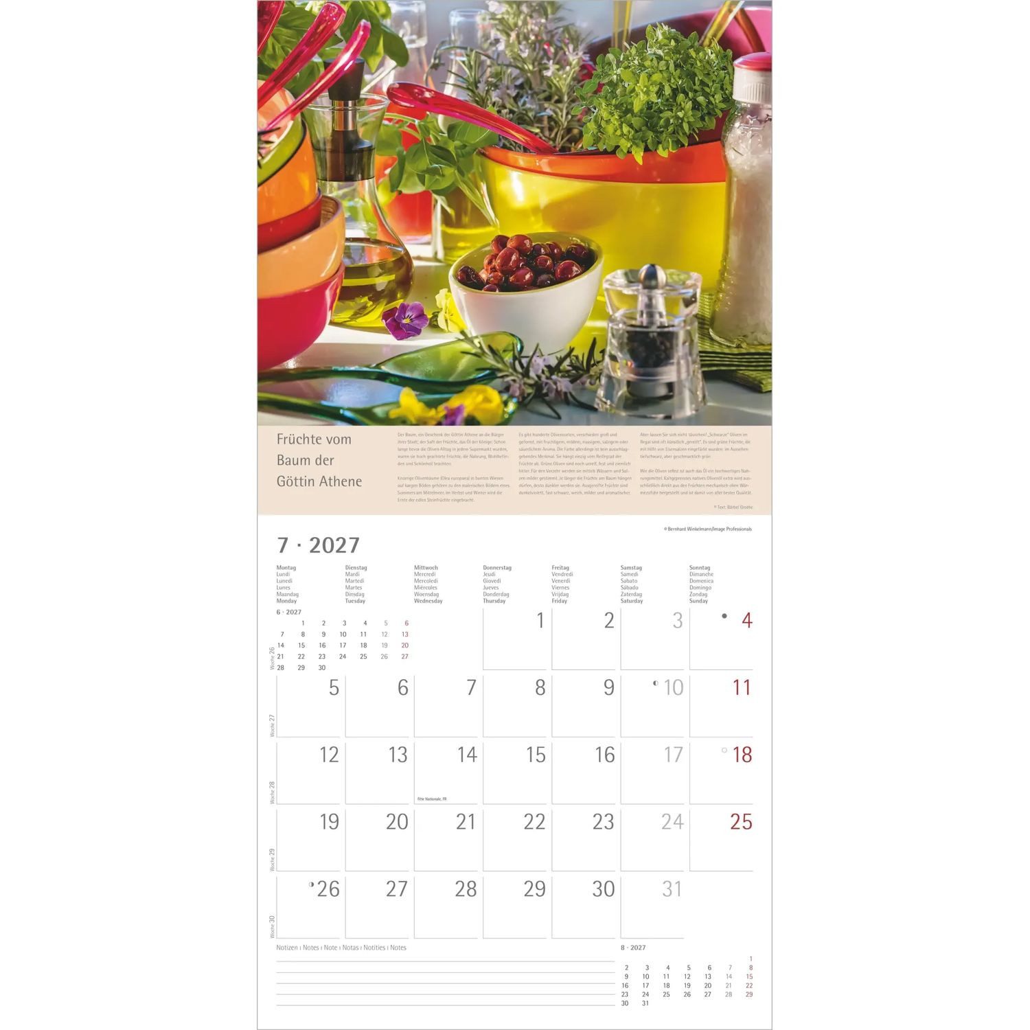Wandkalender Kräuter und Gewürze 2027 – Bild 5 von 5