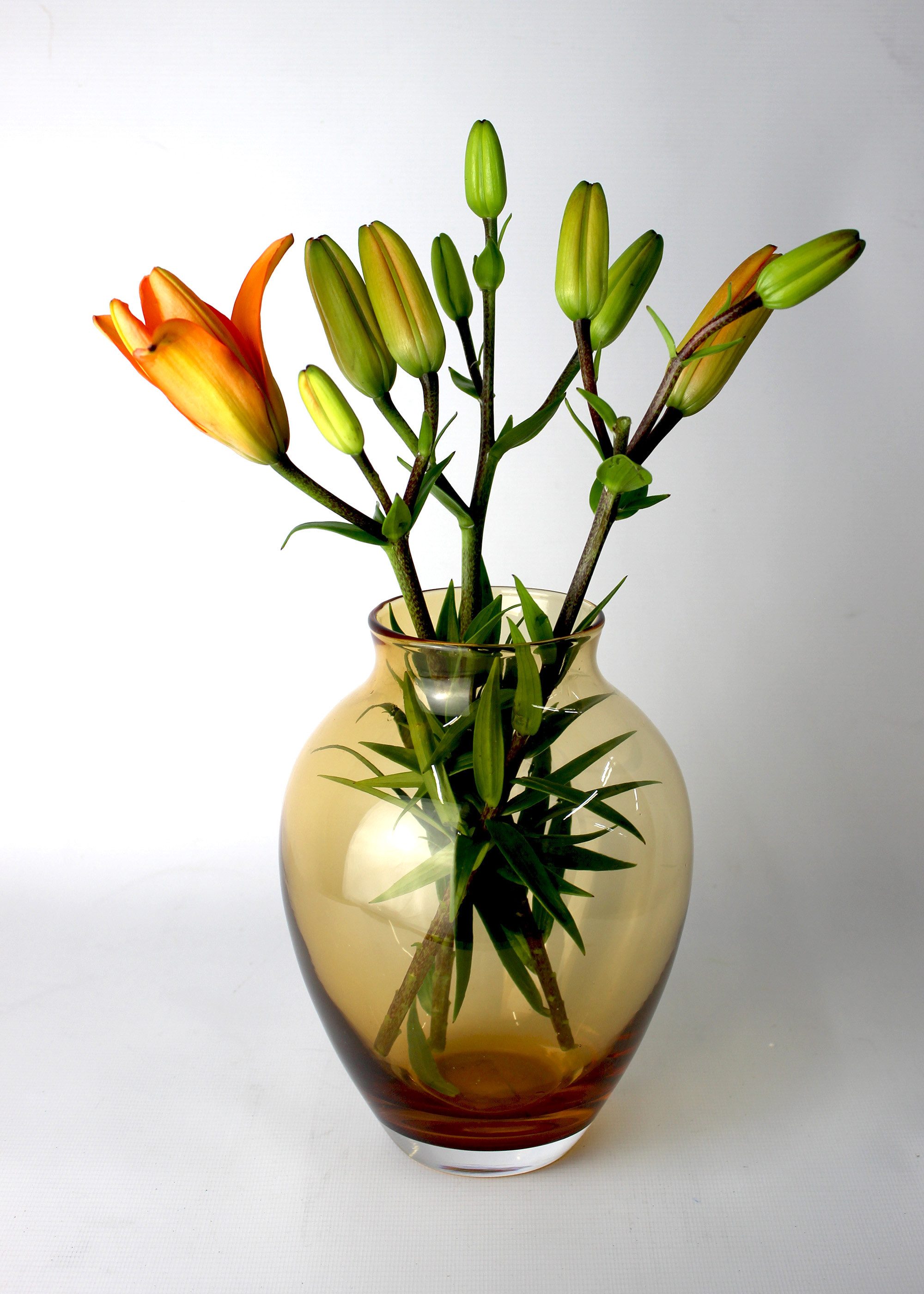 Signature Home Collection Tischvase Vase Glas bauchig bernstein Glasvase handgemacht (1 St., 1 Vase), hochwertige Verarbeitung, dekorativ