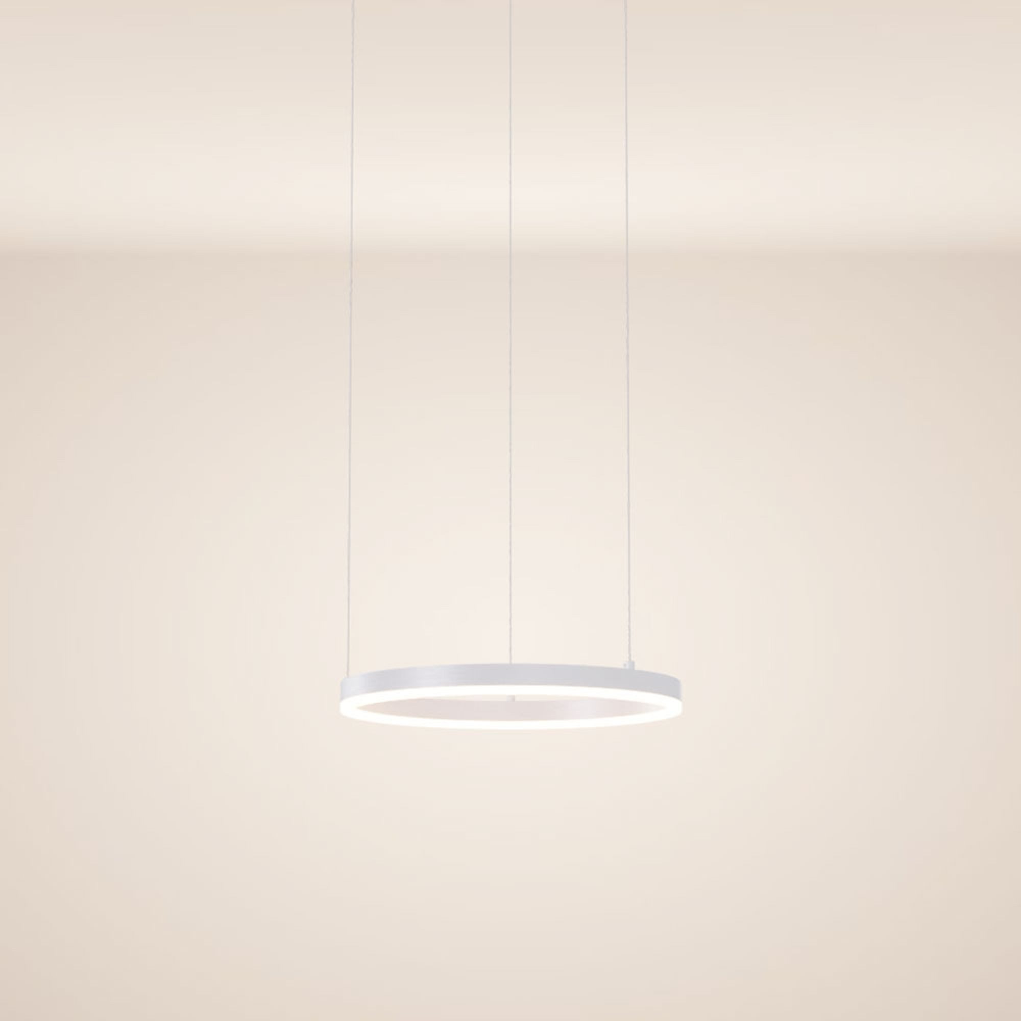 s.luce Pendelleuchte LED Pendelleuchte Ring 40 direkt oder indirekt 5m Abhängung Weiß, Warmweiß