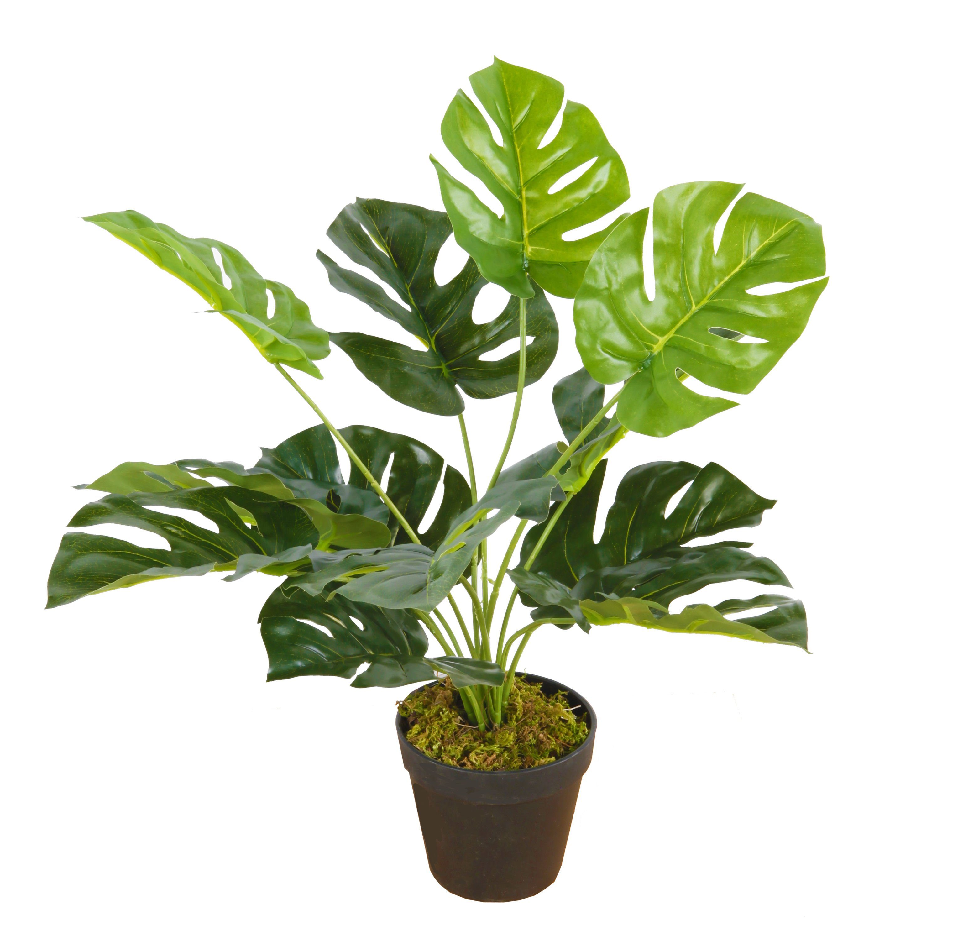 Künstliche Zimmerpflanze Deko Kunstpflanze Monstera - 45 cm - Zimmerpflanze Monstera, Spetebo, Höhe 45.00 cm, im Blumentopf - Büro Bad Flur Pflanze künstlich