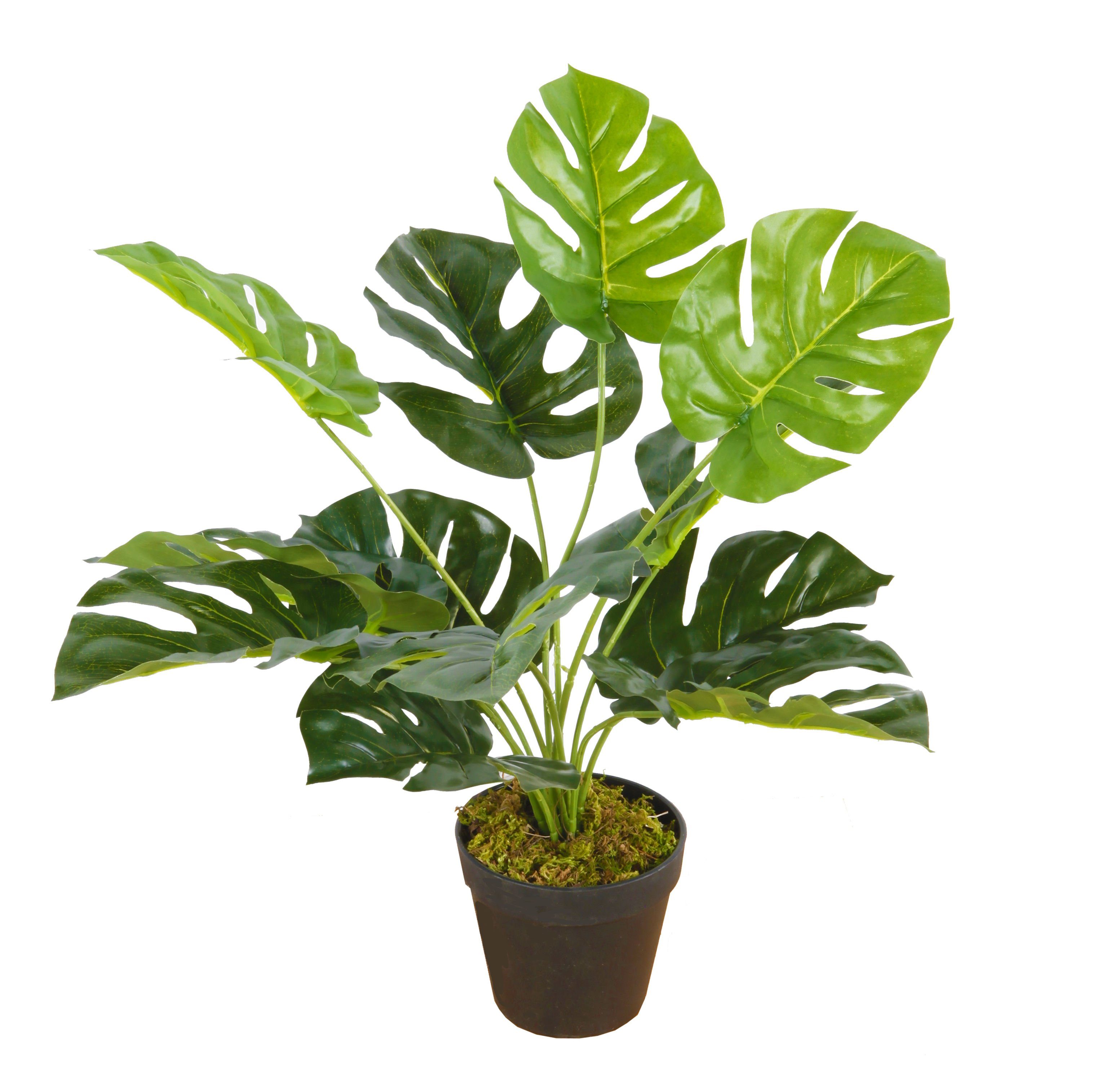 Künstliche Zimmerpflanze Deko Kunstpflanze Monstera - 45 cm - Zimmerpflanze günstig online kaufen