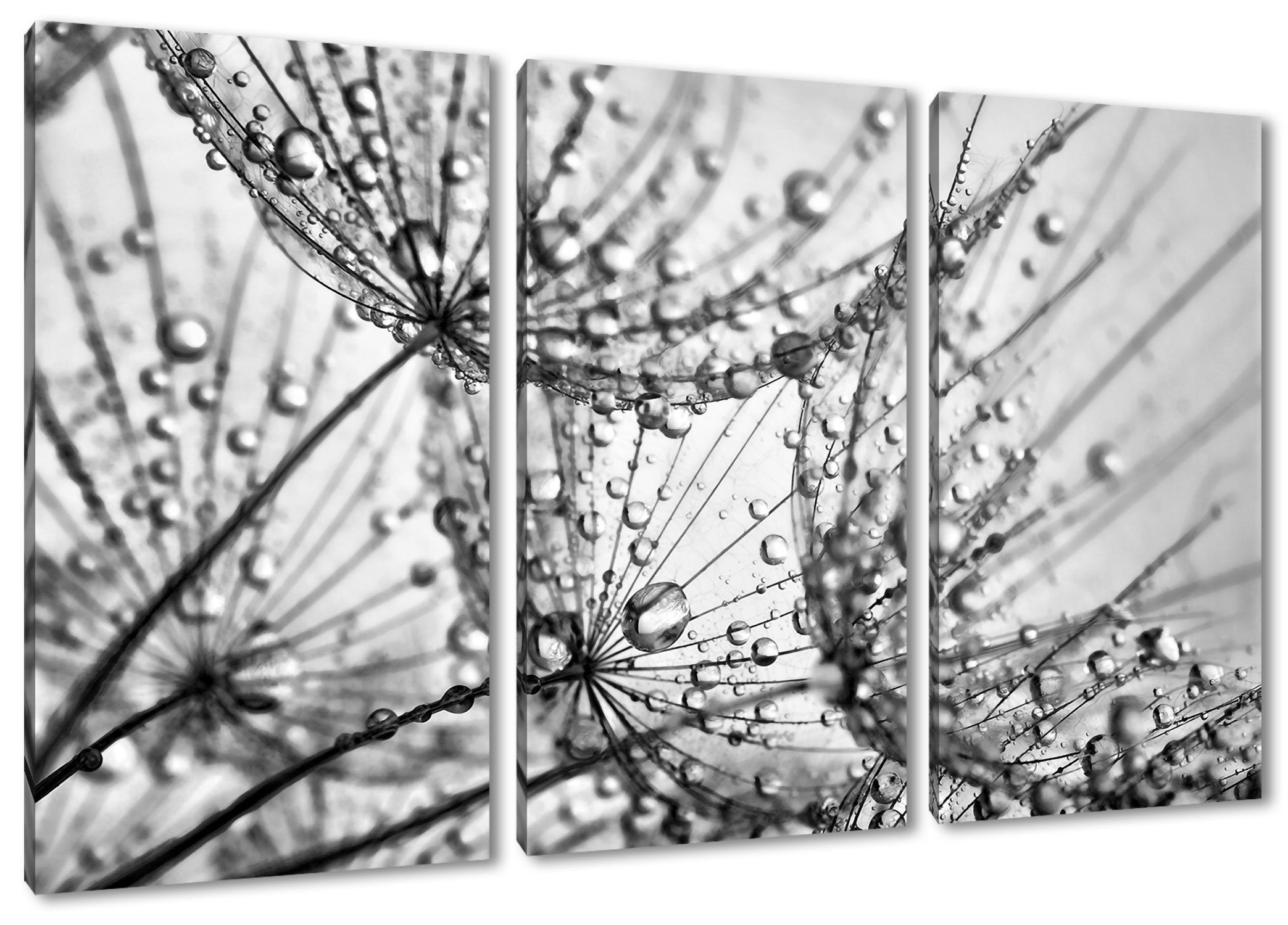 Pixxprint Leinwandbild Pusteblumen Tau Leinwandbild 3Teiler inkl. Tau, (120x80cm) St), Pusteblumen fertig Zackenaufhänger (1 bespannt