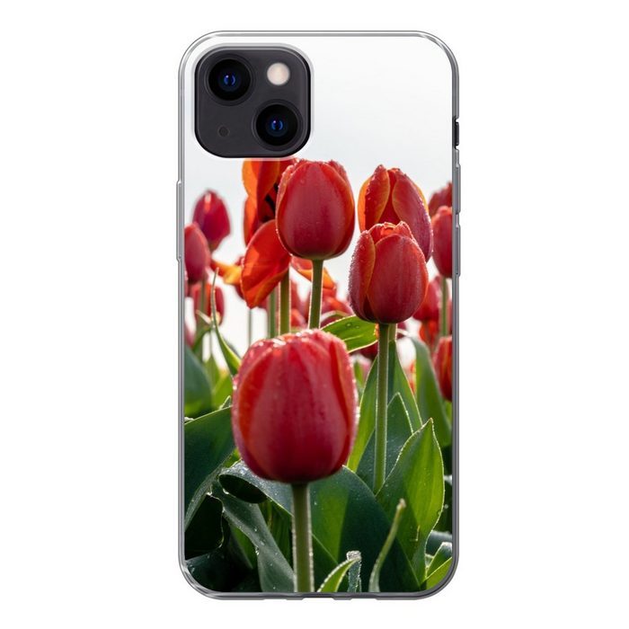 MuchoWow Handyhülle Ein Gebiet mit roten Tulpen in den Niederlanden Handyhülle Apple iPhone 13 Mini Smartphone-Bumper Print Handy