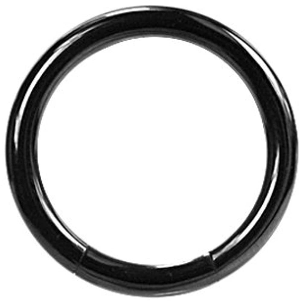 Karisma Piercing-Set Titan Schwarz Millimeter 1,2mm G23 Piercing Segment Ring 8.0 Nase Glänzend BK-TBCRS Lippe 