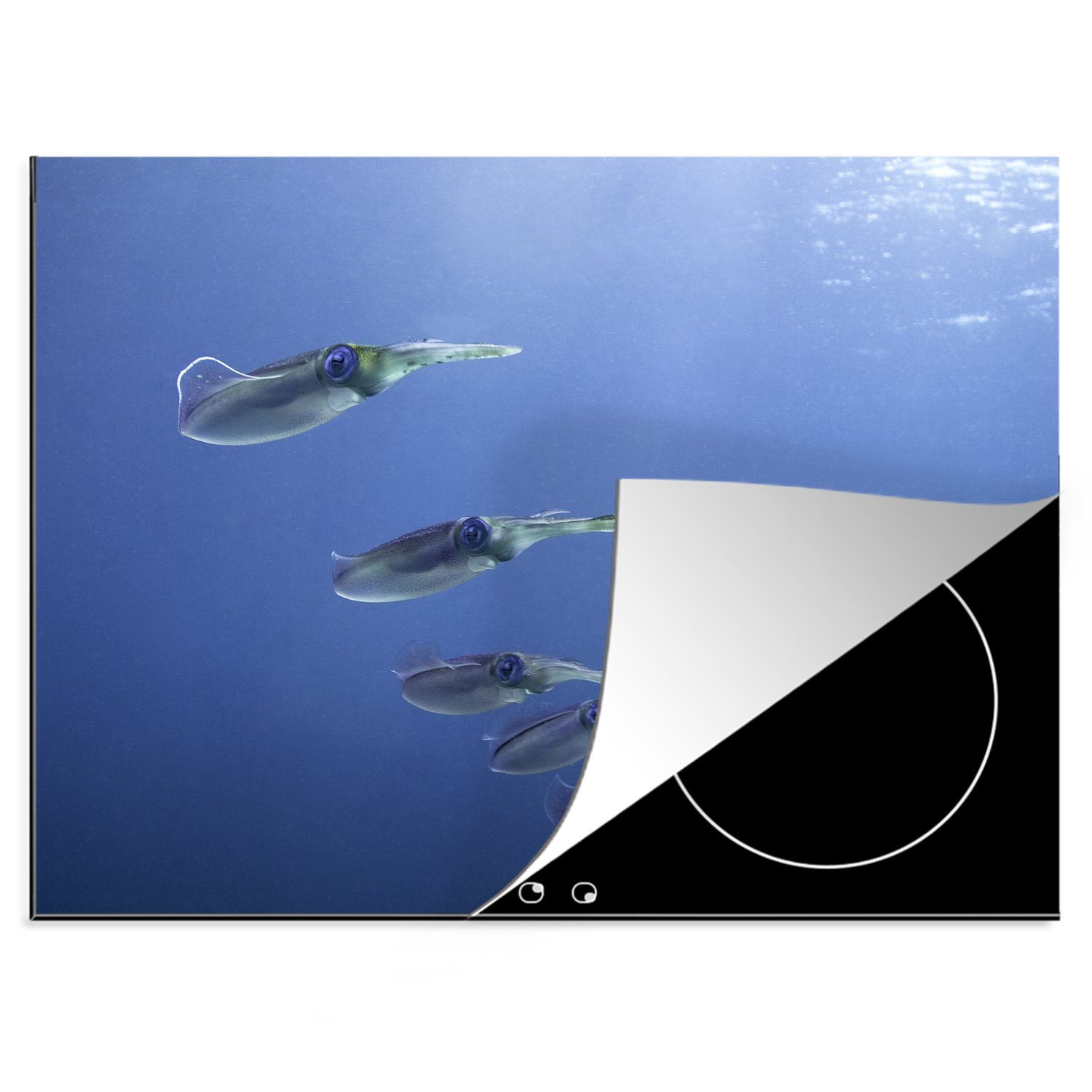 - Ceranfeldabdeckung nutzbar, Vinyl, Meer, (1 cm, Arbeitsfläche Tintenfisch Mobile MuchoWow Tiere - 70x52 tlg), Herdblende-/Abdeckplatte