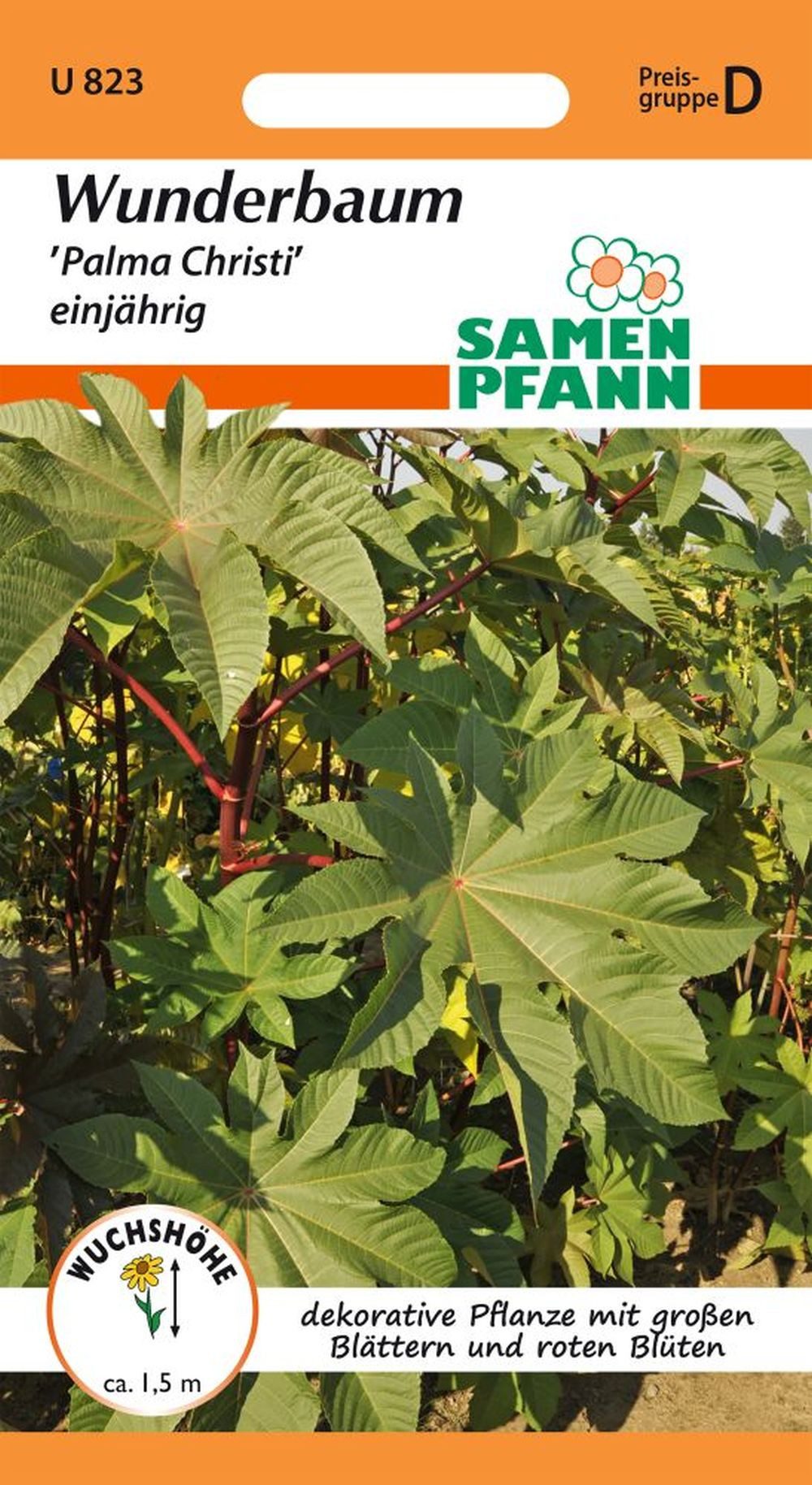 SAMEN PFANN Blumensamen Wunderbaum (Ricinus), Palma Christi - Saatgut Samen, Ric