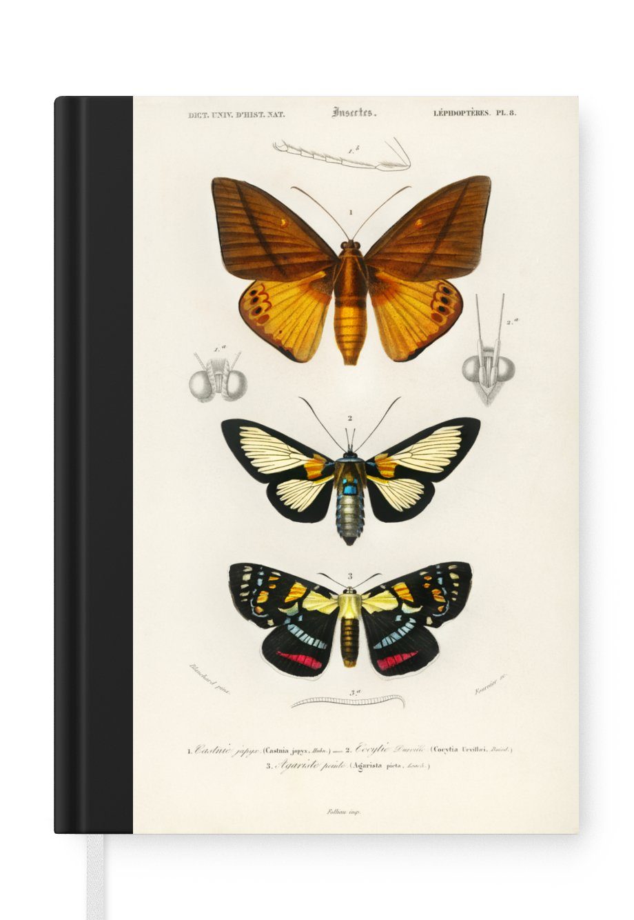 MuchoWow Notizbuch Schmetterling - Vintage - Insekten, Journal, Merkzettel, Tagebuch, Notizheft, A5, 98 Seiten, Haushaltsbuch