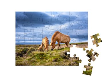 puzzleYOU Puzzle Island-Pferde auf dem Westfjord in Island, 48 Puzzleteile, puzzleYOU-Kollektionen Pferde, Islandpferde