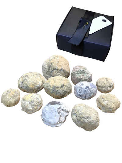 Steinfixx® Mineralstein Geodensammlung aus aller Welt 13 teilig zum selber aufbrechen, (1 Set, 2-St., Geoden verschiedener Größen und Arten), Geoden zum selber aufbrechen, naturbelassen im Set 13 Teile