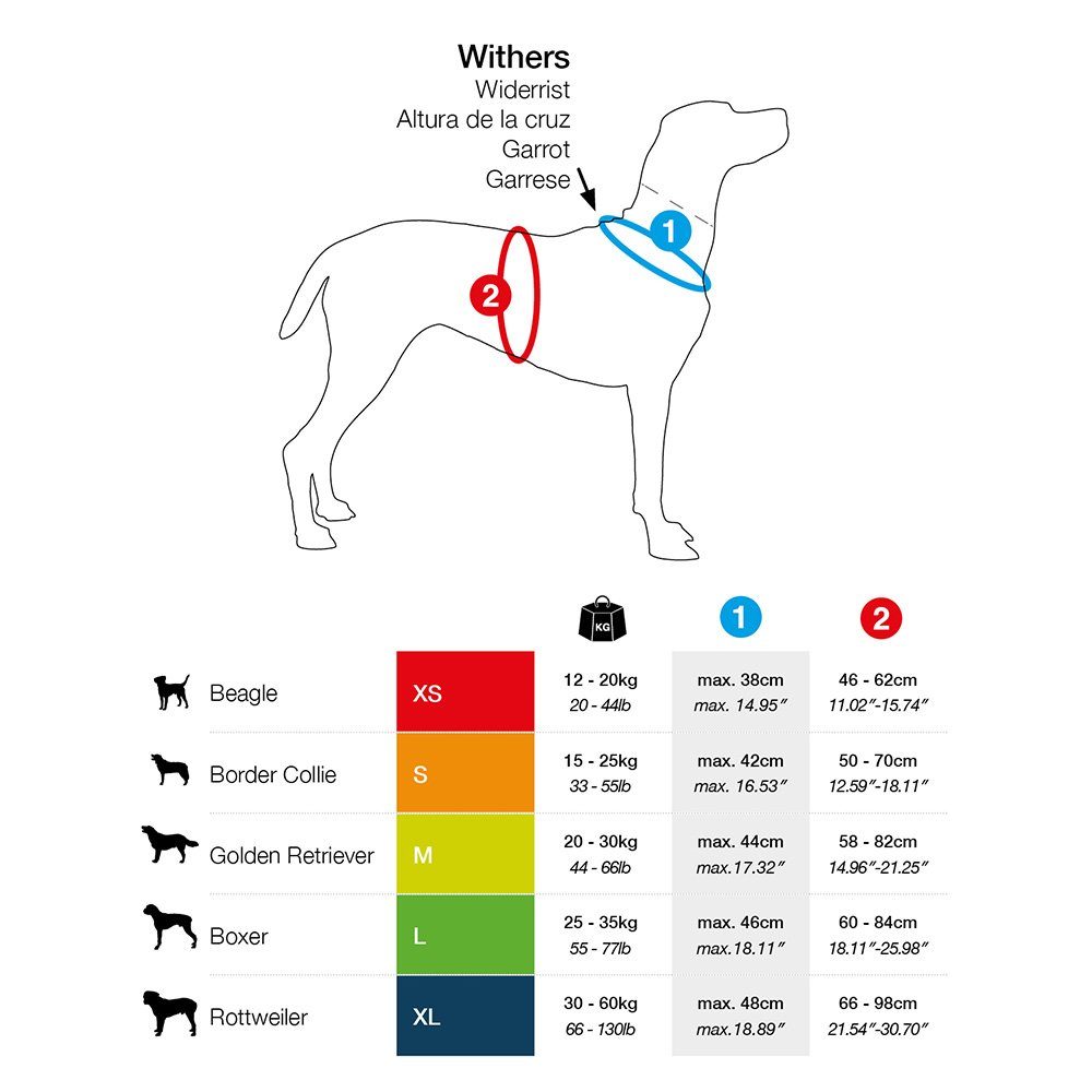 Curli Hunde-Geschirr Belka Comfort Geschirr schwarz günstig online kaufen