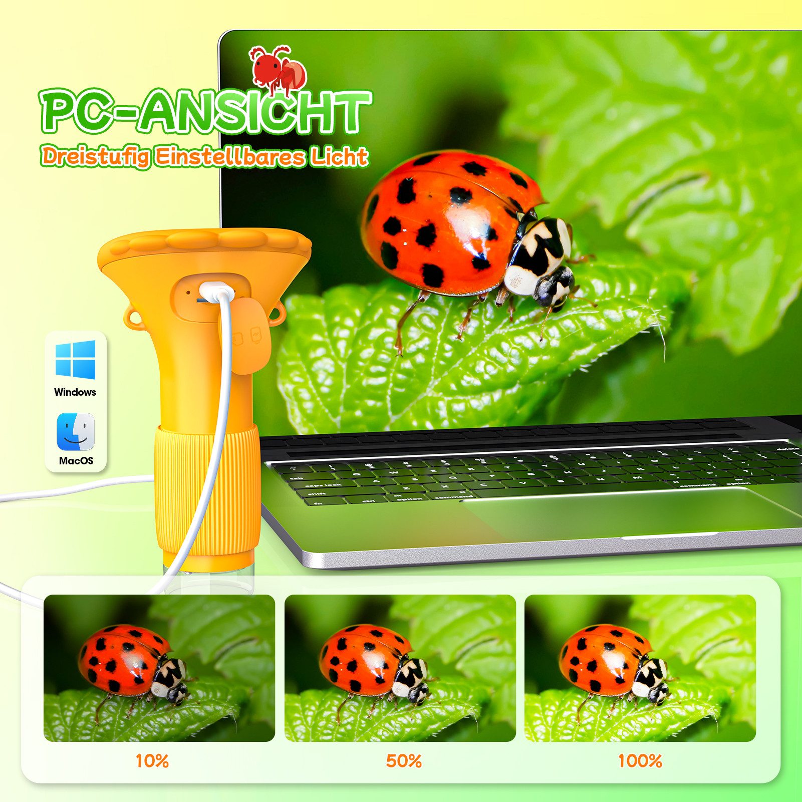 Wootoy Kinder Mikroskop Lernspielzeug mit Trageschlaufe Tragbares Digitalmikroskop (100x-1000x, 2-Zoll-HD-Bildschirm mit klarer Farbdarstellung) – Bild 4 von 5