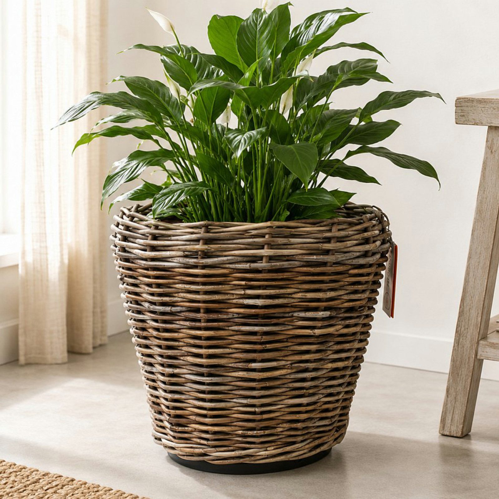 Van der Leeden Blumentopf 53x43cm Rattan Weide Sylter Korb Drypot (Stück, 1 St., Packung), Indoor & Outdoor, Naturprodukt, Rattan, inkl. Kunststoffeimer