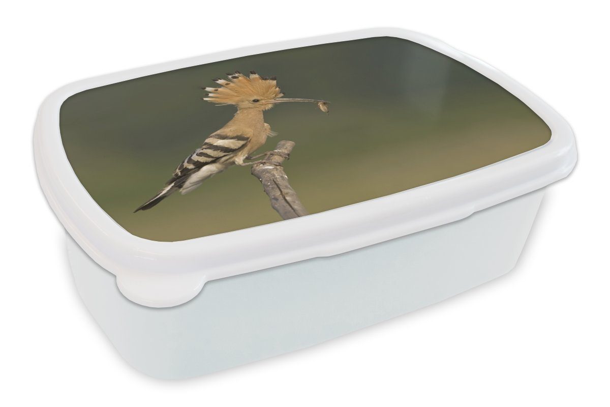 MuchoWow Lunchbox Ein Wiedehopf sitzt im Frühling auf einem Ast, Kunststoff, (2-tlg), Brotbox für Kinder und Erwachsene, Brotdose, für Jungs und Mädchen weiß | Lunchboxen