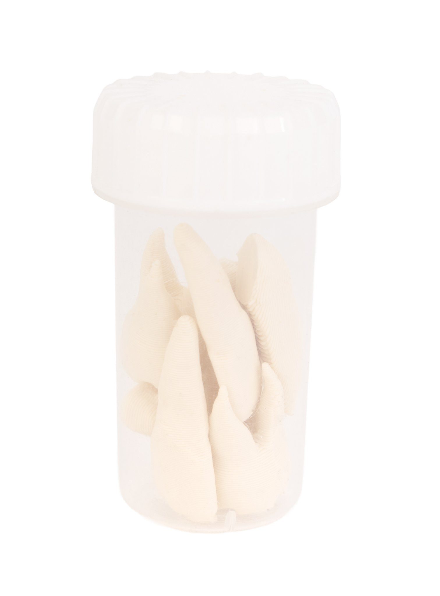 Andracor Dekoobjekt 3D-Druck - Menschliche Zähne mit Schraubdose günstig online kaufen