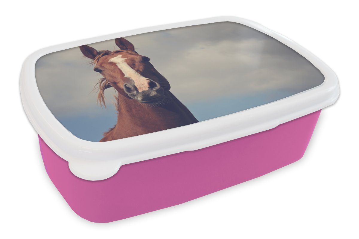 Snackbox, Brotdose Kunststoff Pferd Kinder, Mädchen, Luft Blau, Brotbox - MuchoWow Erwachsene, (2-tlg), - Kunststoff, für Lunchbox rosa