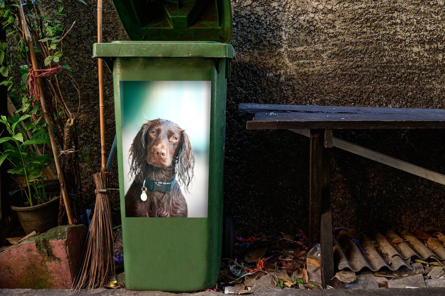 Wandsticker MuchoWow Porträt (1 Sticker, Mülltonne, Cocker braunen St), eines Container, Mülleimer-aufkleber, Spaniels Abfalbehälter
