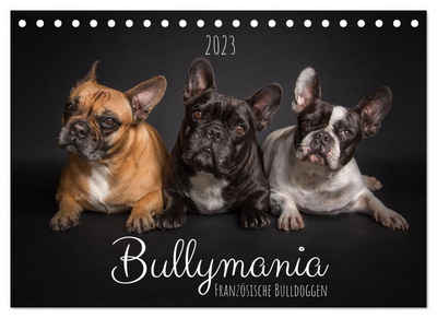 CALVENDO Wandkalender »Bullymania - Französische Bulldoggen (Tischkalender 2023 DIN A5 quer)«