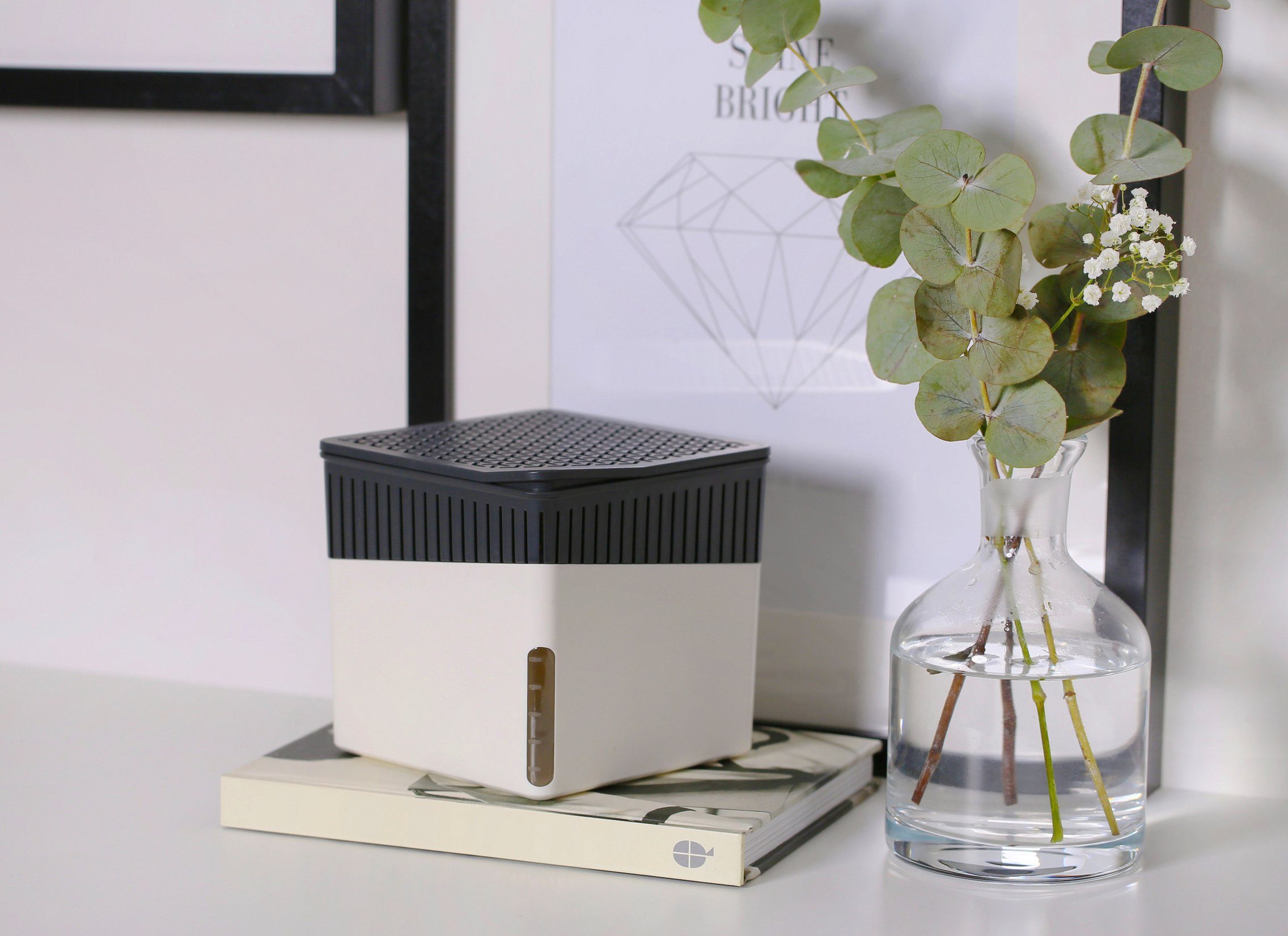 WENKO Luftentfeuchter Cube, für 80 m³ günstig online kaufen