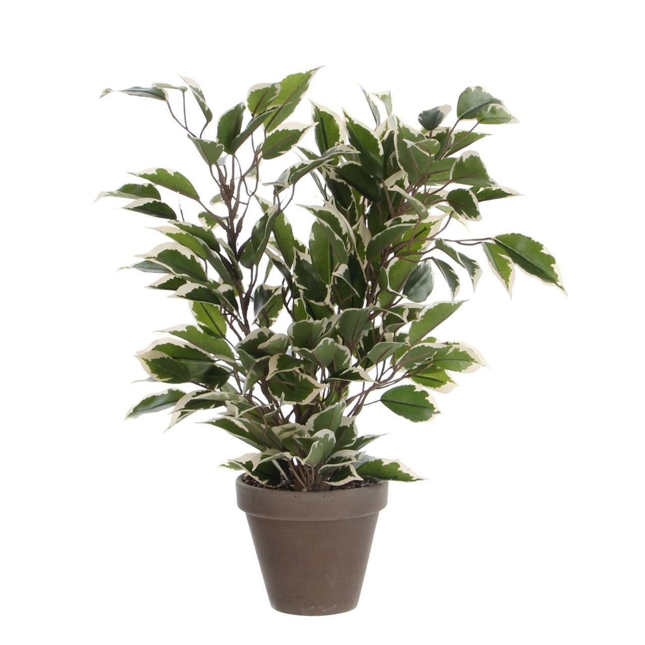 Kunstpflanze Mica Kunstpflanze Ficus Natasja grün bunt im Topf, Mica Decorations