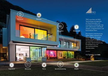 TRIO Leuchten LED Deckenleuchte CHARLY, CCT - über Fernbedienung, Dimmfunktion, Farbwechsel, Leuchtdauer einstellbar, Memoryfunktion, Smart Home, Timerfunktion, mehrere Helligkeitsstufen, LED fest integriert, Kaltweiß, Neutralweiß, Tageslichtweiß, Warmweiß, WiZ Smarthome RGB Deckenlampe Ø 50cm Steuerung per Fernbedienung + App