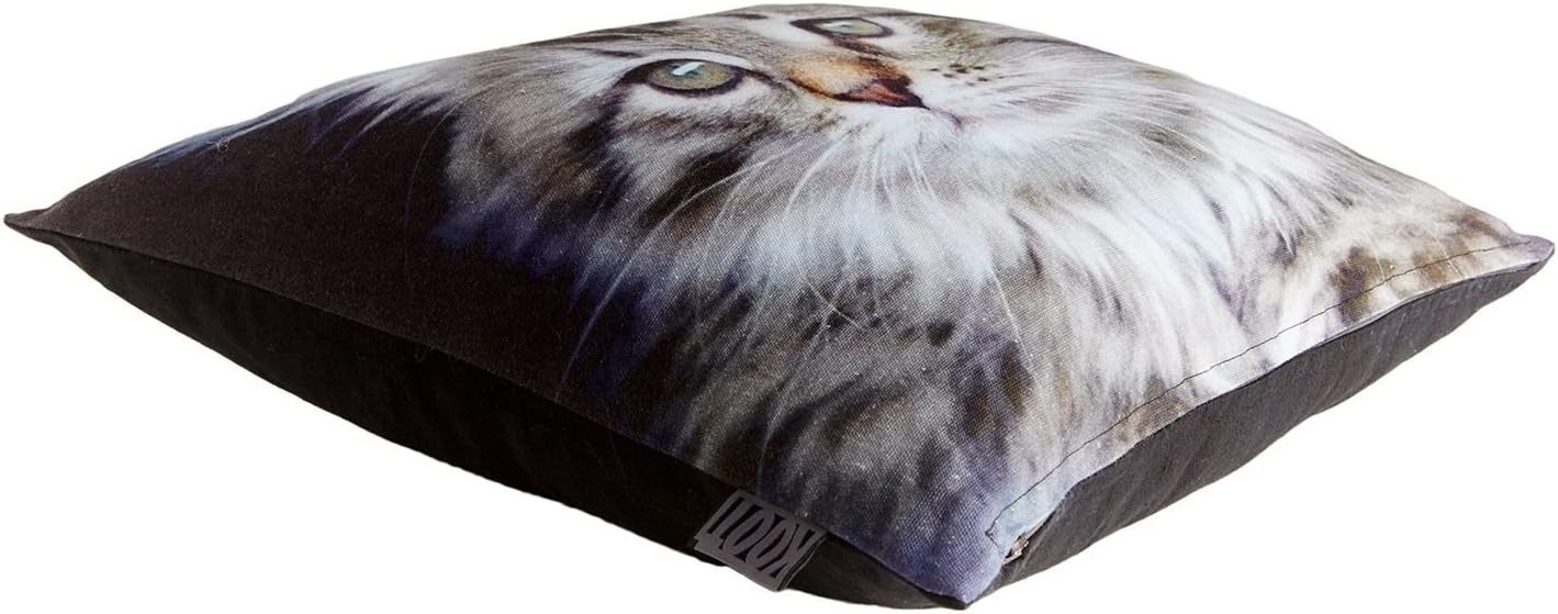 KAAT Amsterdam Dekokissen Katze Kitten Grey gefüllt 40 x 40 cm