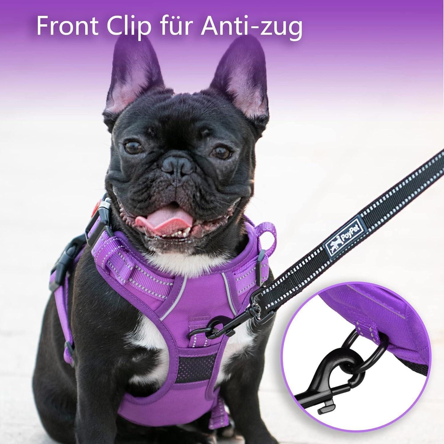LuxusKollektion Hunde-Geschirr Hundegeschirr ohne Zug reflektierend M Violett Passender Trimmen