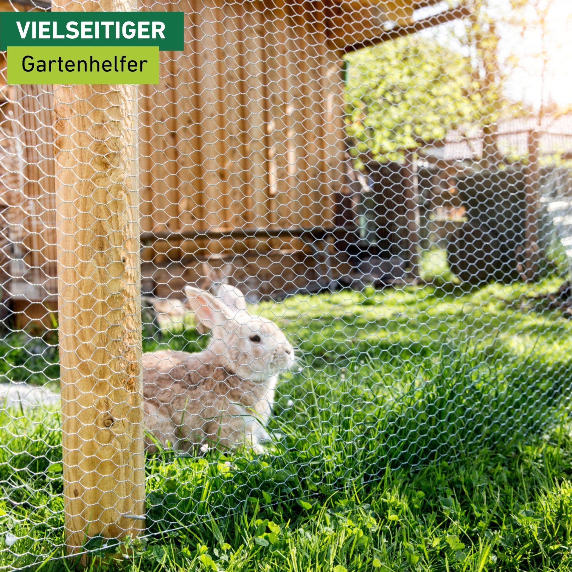 Windhager Voliere für Hasen, Hühner und Vögel, Kleintiergeflecht verzinkt, Sechseck-Geflecht, Gittergröße 1 x 10 m oder 0,5 x 10 m