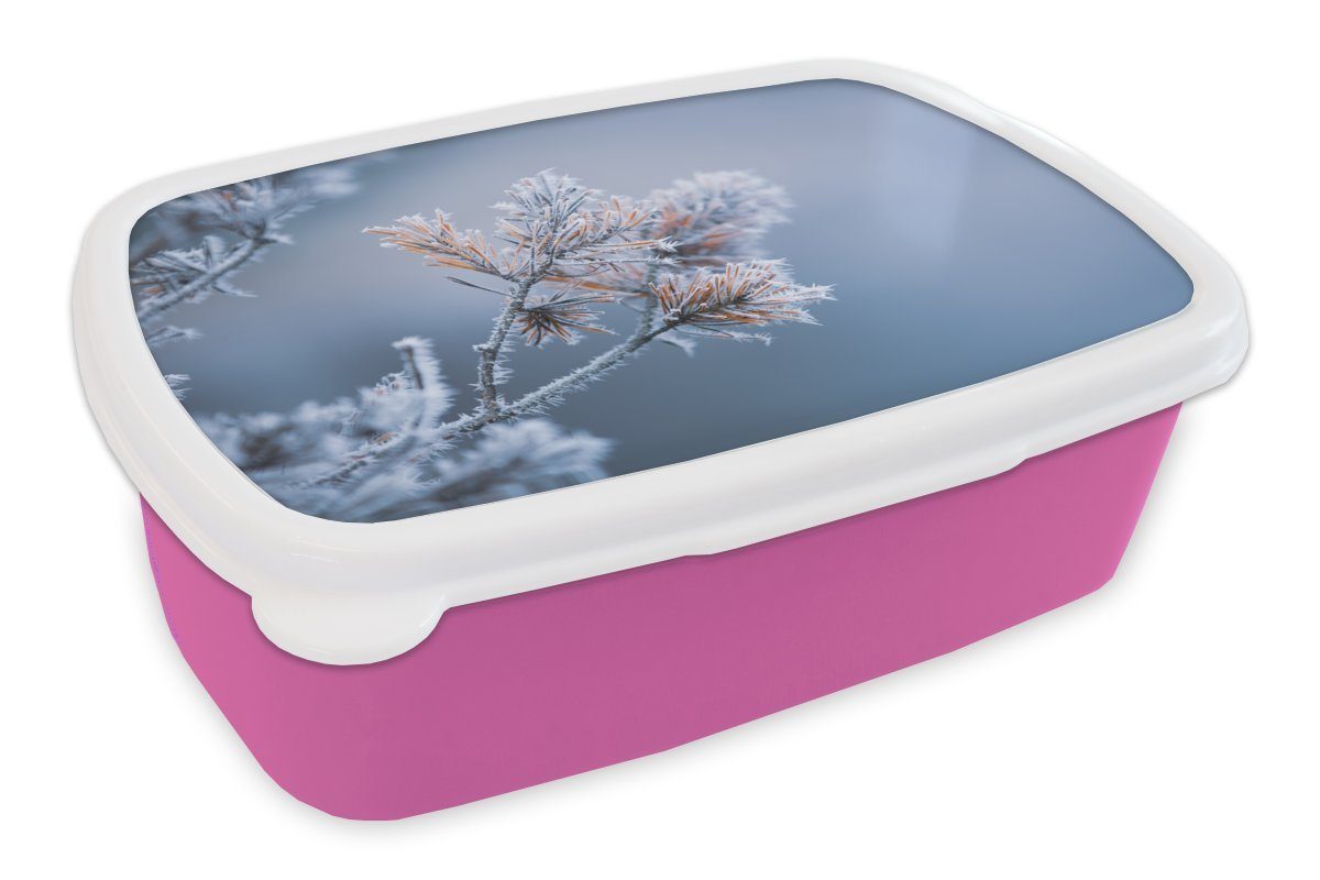 Lunchbox Kunststoff Brotbox Kiefernnadeln Kinder, - Schnee Erwachsene, - - Eis Mädchen, (2-tlg), Brotdose - Snackbox, Kunststoff, rosa MuchoWow Pflanzen für Winter,