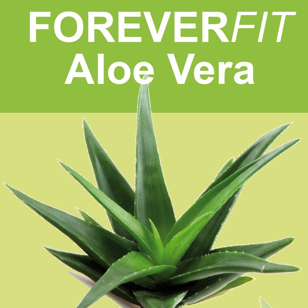 ForeverFit
