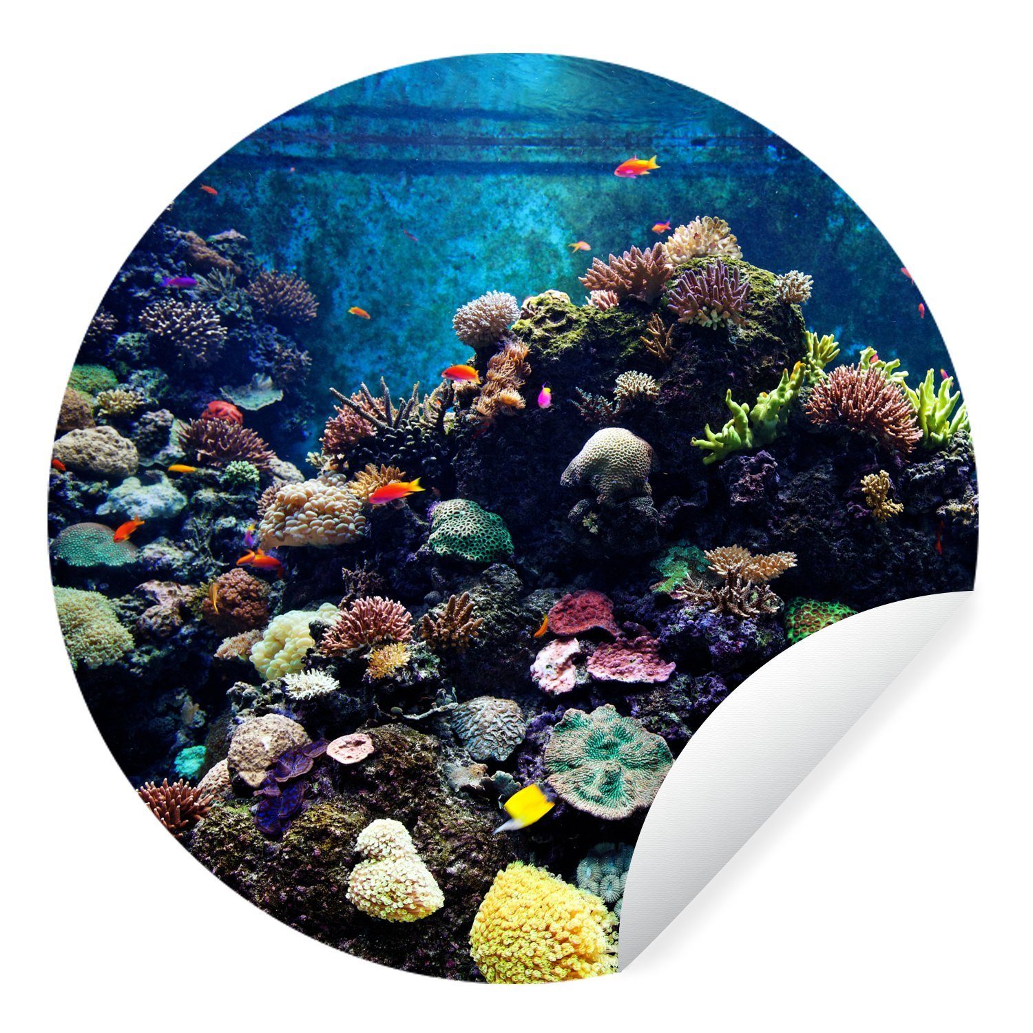 MuchoWow Wandsticker Aquarium mit tropischen Fischen und Korallen (1 St), Wandtattoo Selbstklebend, Wohnzimmer Deko Aufkleber, 30x30 cm
