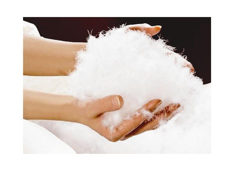 Canada Daunenbettdecke Canada Dreams Luxus Ganzjahres Daunendecke Wärmegrad günstig online kaufen