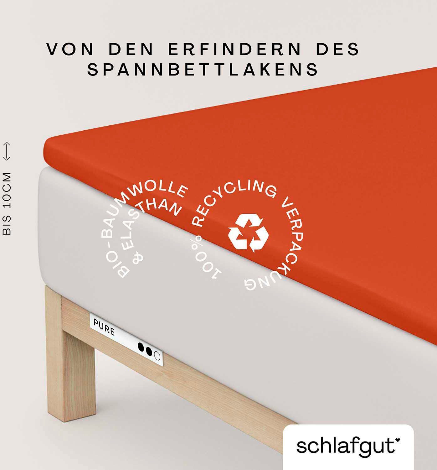 Schlafgut Spannbettlaken PURE TOPPER in Gr. günstig online kaufen
