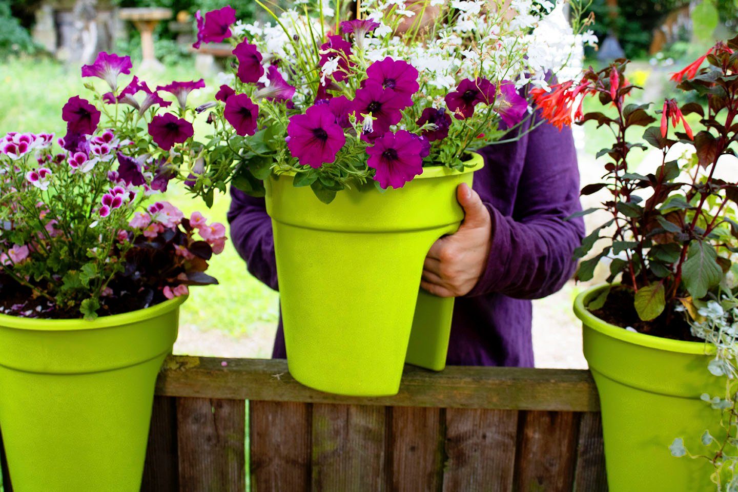 KHW Balkonkasten Flowerclip (Set, 3 St), günstig online kaufen