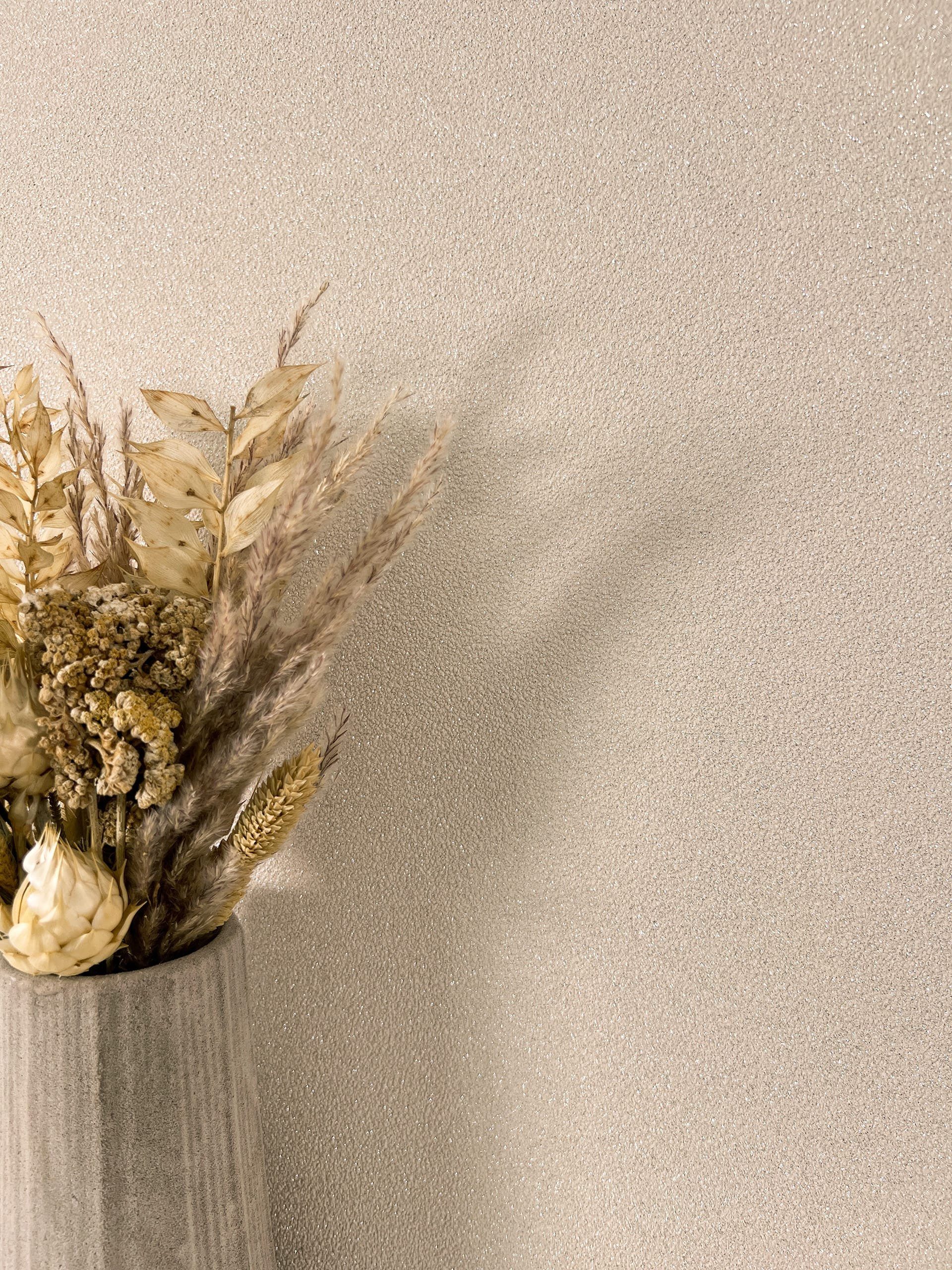 Newroom Vliestapete, Beige Tapete Modern Unifarbe günstig online kaufen