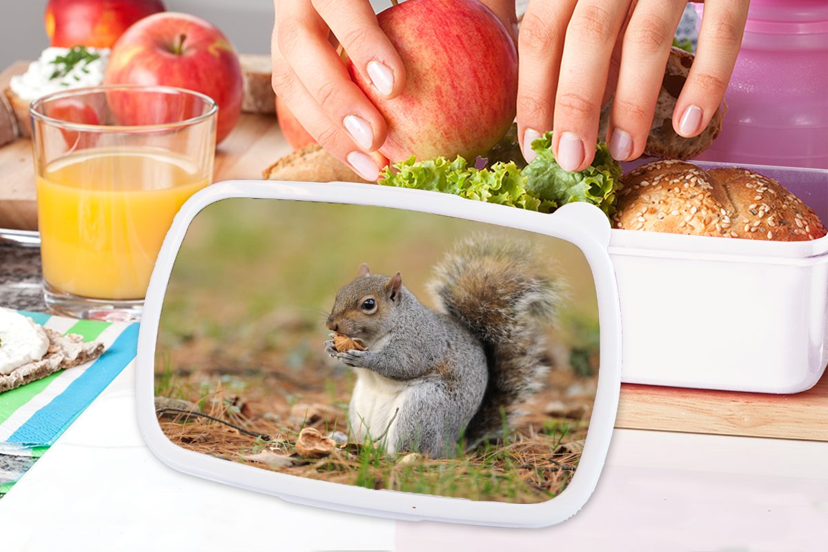 Eichhörnchen für Erwachsene, (2-tlg), mit und Mädchen Lunchbox Jungs MuchoWow weiß Kunststoff, für Brotbox Kinder und Erdnuss, Brotdose,