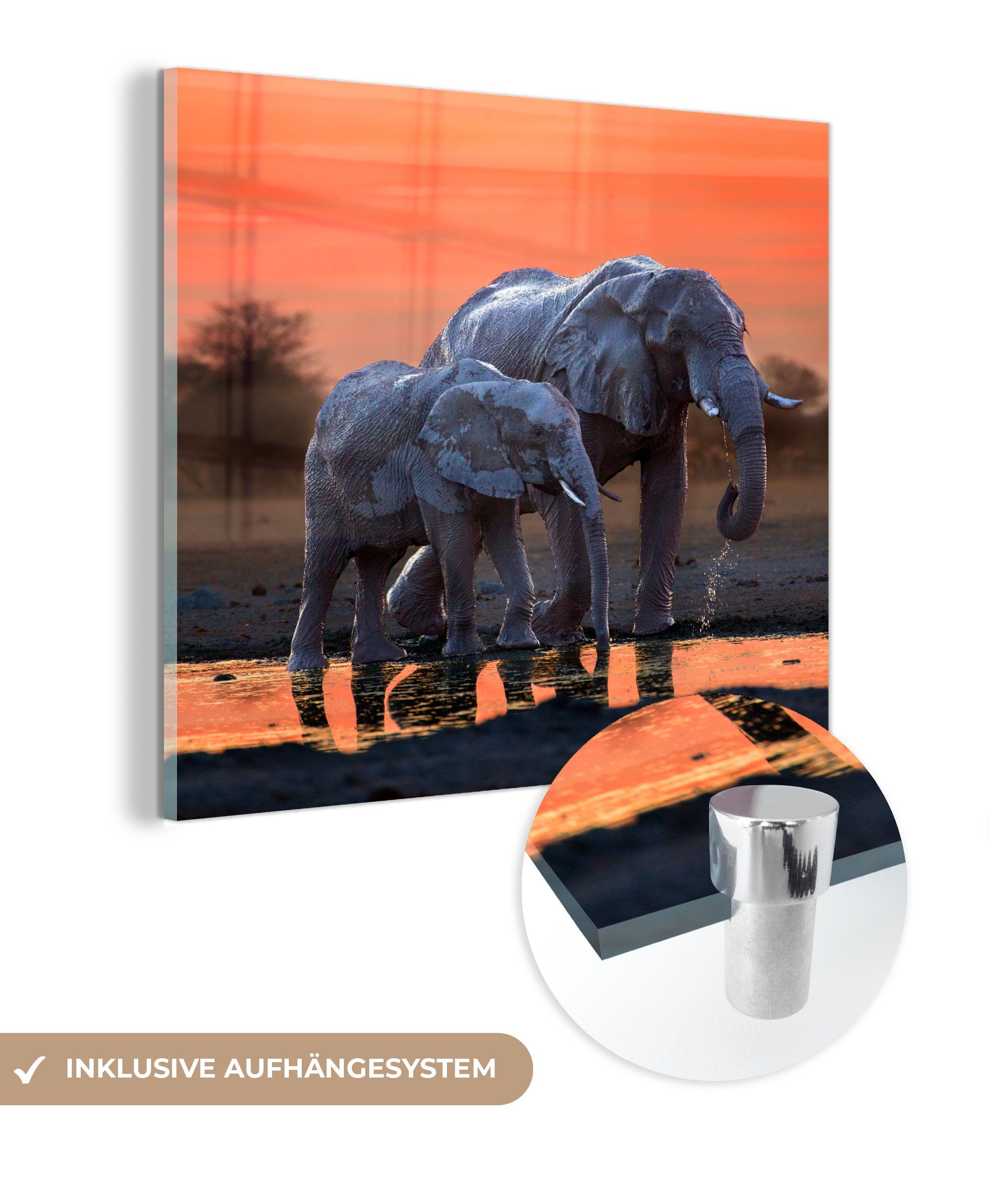 MuchoWow Acrylglasbild Elefant - Tiere - Sonnenuntergang - Wasser - Orange, (1 St), Glasbilder - Bilder auf Glas Wandbild - Foto auf Glas - Wanddekoration