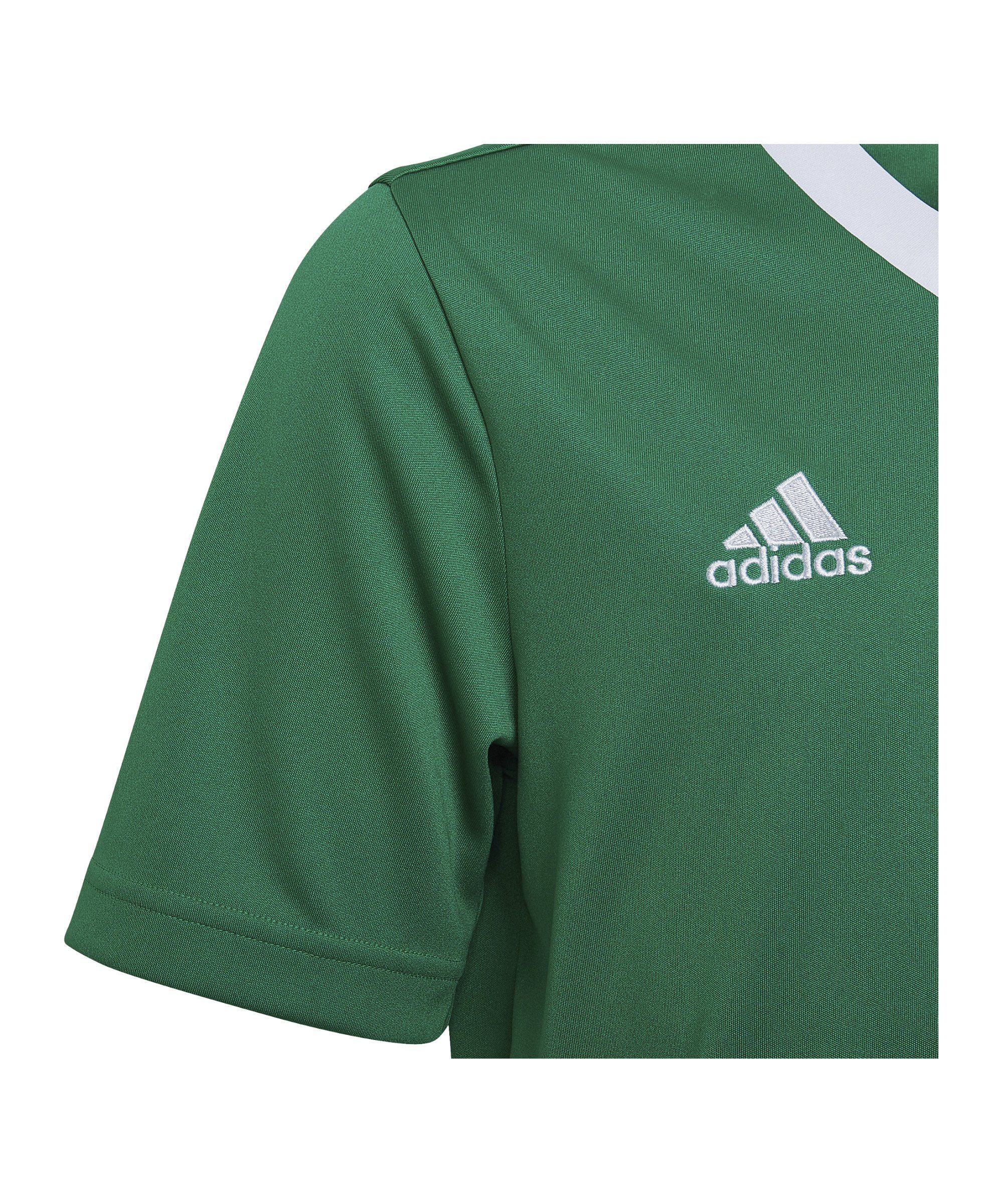 adidas Performance Fußballtrikot Entrada 22 Kids gruenweiss Trikot