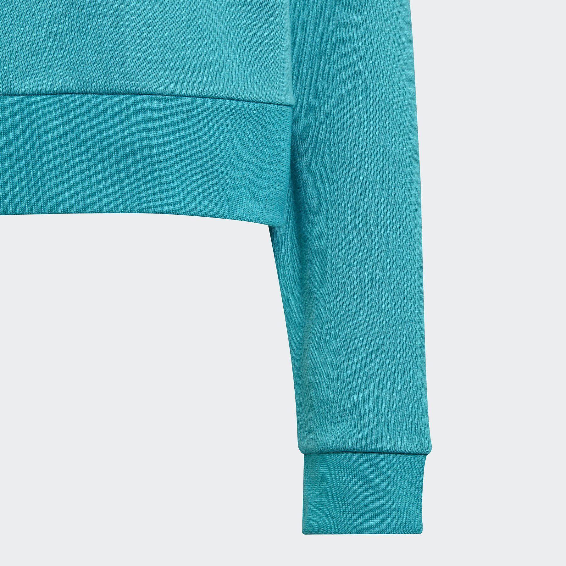 adidas Originals Kapuzensweatshirt ADICOLOR HOODIE Arctic Fusion CROPPED