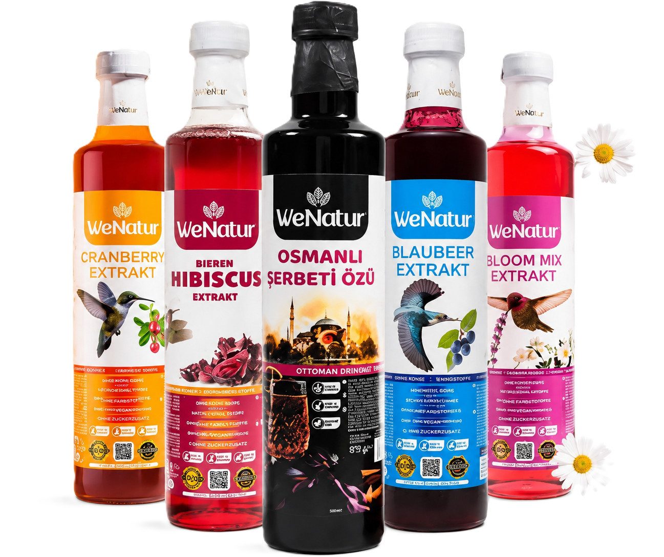 We_Natur Sirup Frucht & Pflanzenextrakt Set 5er – Natürliche Vielfalt, 3470 g, 100 % Natürlich, Erfrischendes aromatisches Getränk