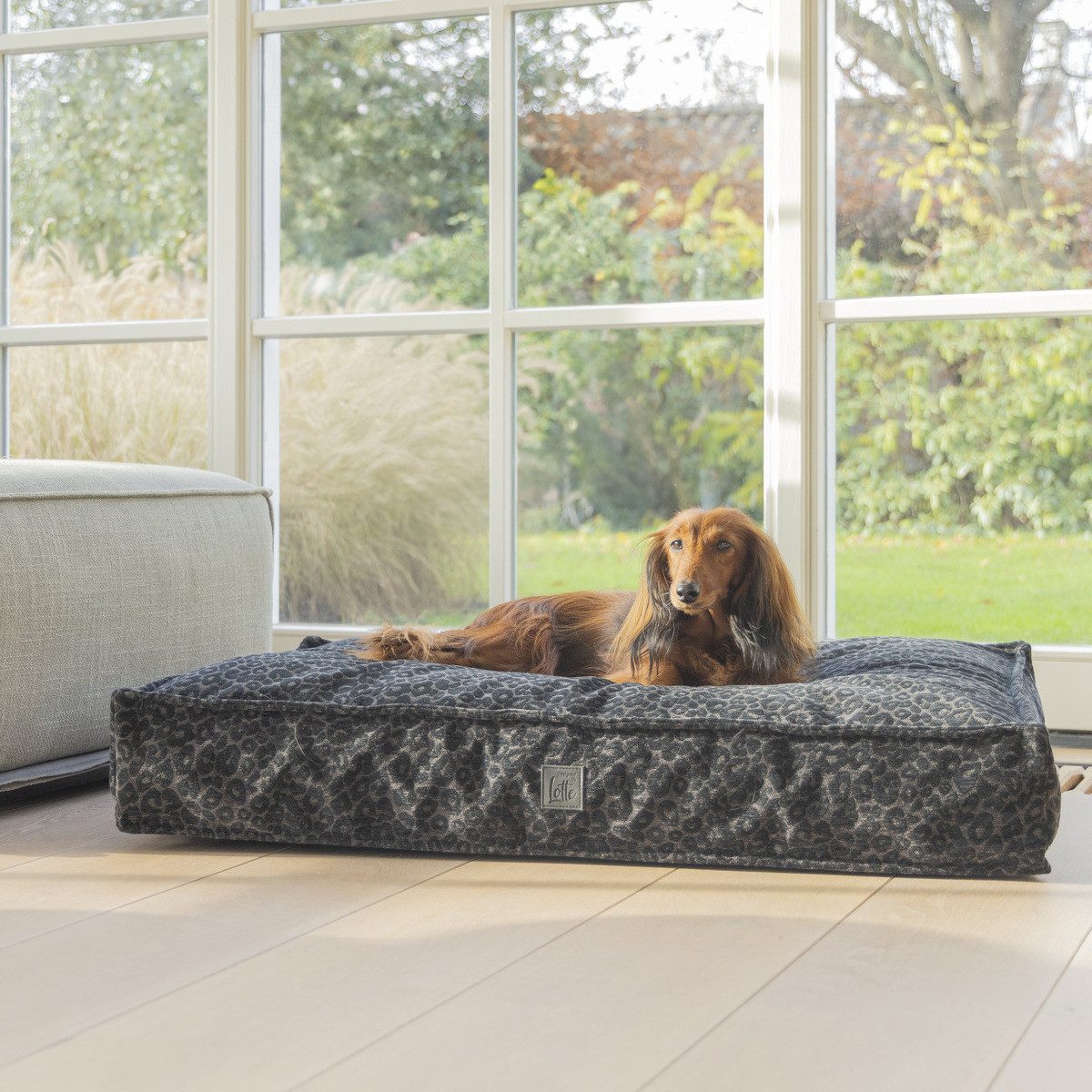 Designed By Lotte Tierkissen Orthopädisches Hundekissen Wild Essence anthrazit