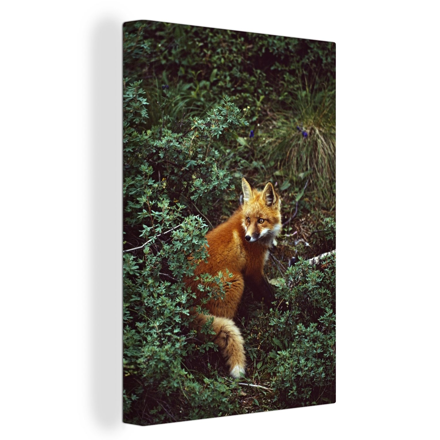 OneMillionCanvasses® Leinwandbild Fuchs - Natur - Wald, (1 St), Leinwandbild fertig bespannt inkl. Zackenaufhänger, Gemälde, 20x30 cm