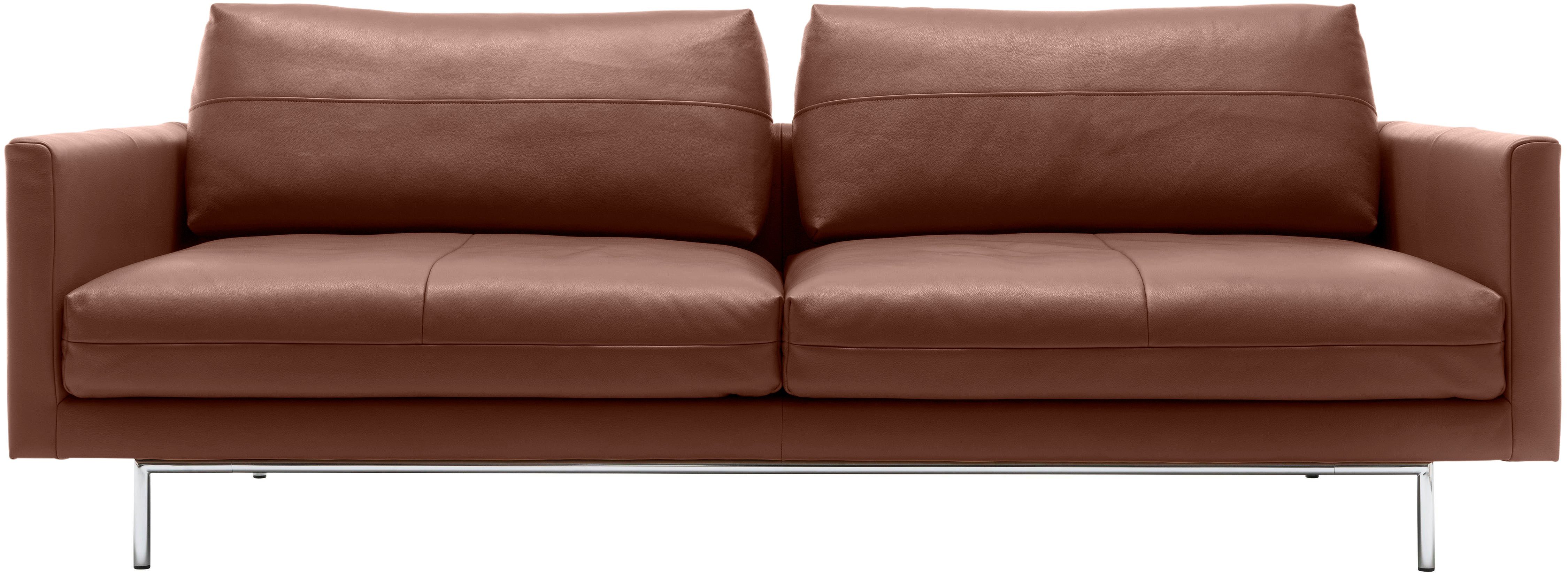 hülsta sofa 3-Sitzer signalbraun | signalbraun