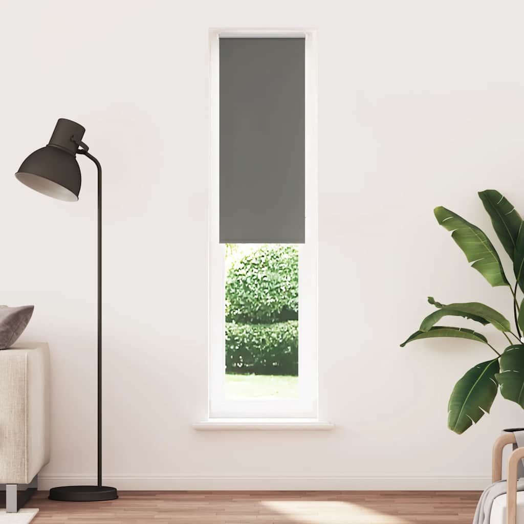 Rollo Verdunkelungsrollo Grau 40x210 cm Stoffbreite günstig online kaufen