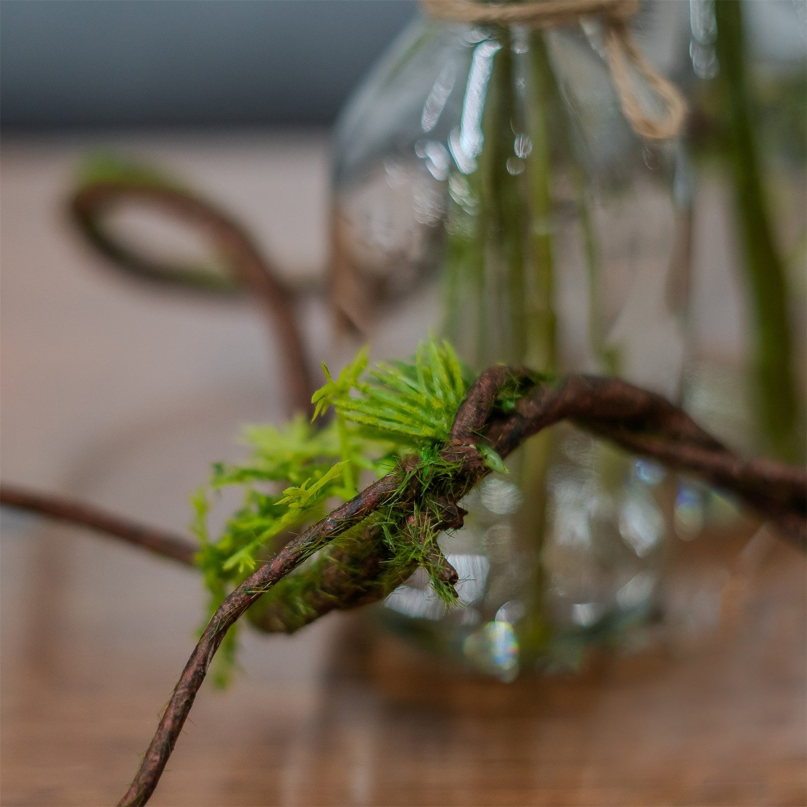 Kunstblume Moos Girlande Hellgrün 105 cm Kunstpflanze Flora, HTI-Living, Hö günstig online kaufen