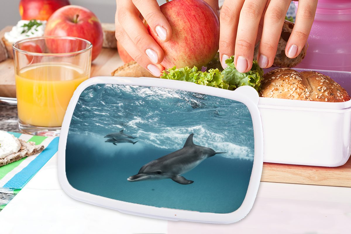 für Brotbox - Kunststoff, und Lunchbox (2-tlg), Wasser Jungs Brotdose, Meer, Mädchen für Delfin - MuchoWow und weiß Erwachsene, Kinder
