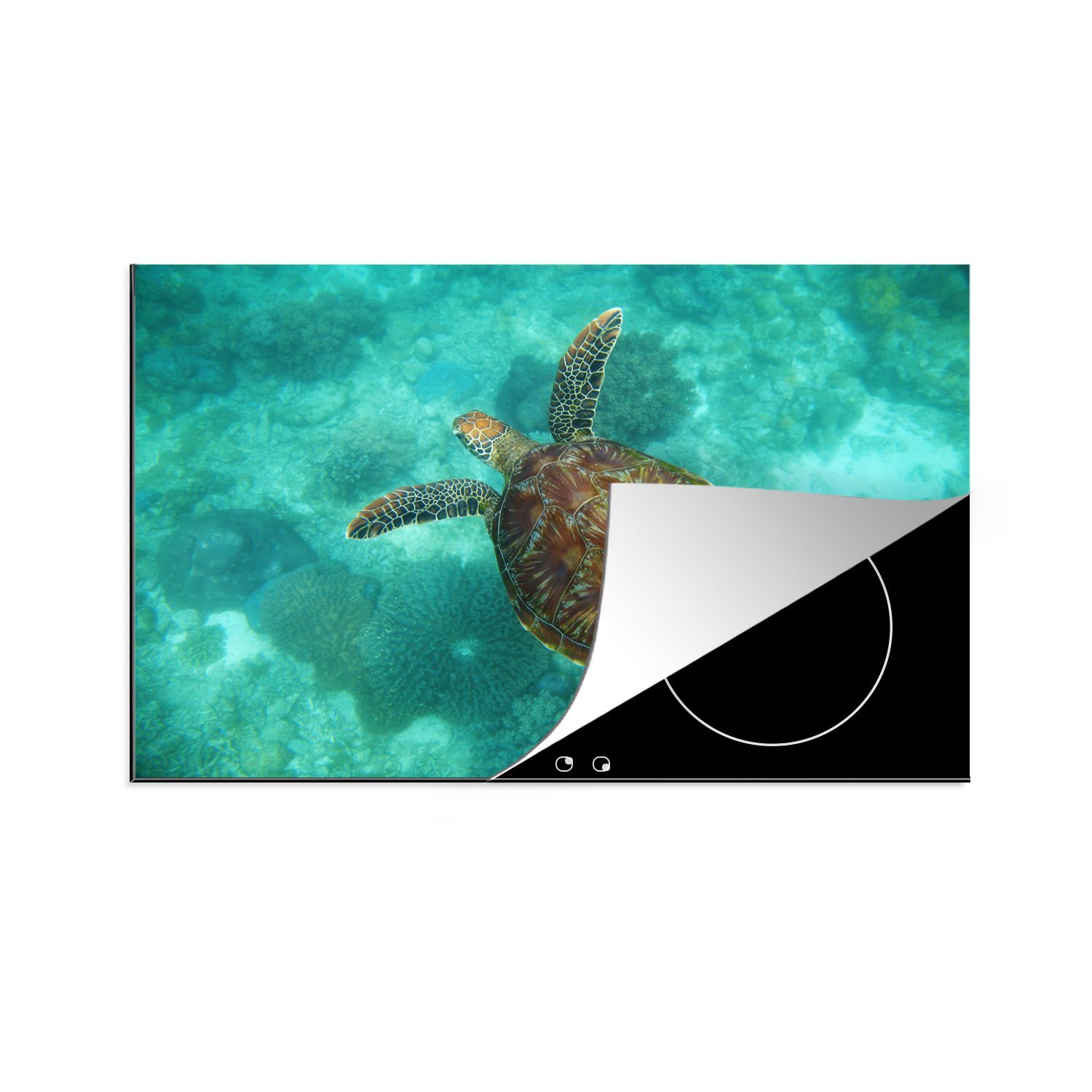 MuchoWow Herdblende-/Abdeckplatte Meeresschildkröte am Apo-Riff, Vinyl, (1 tlg), 81x52 cm, Induktionskochfeld Schutz für die küche, Ceranfeldabdeckung