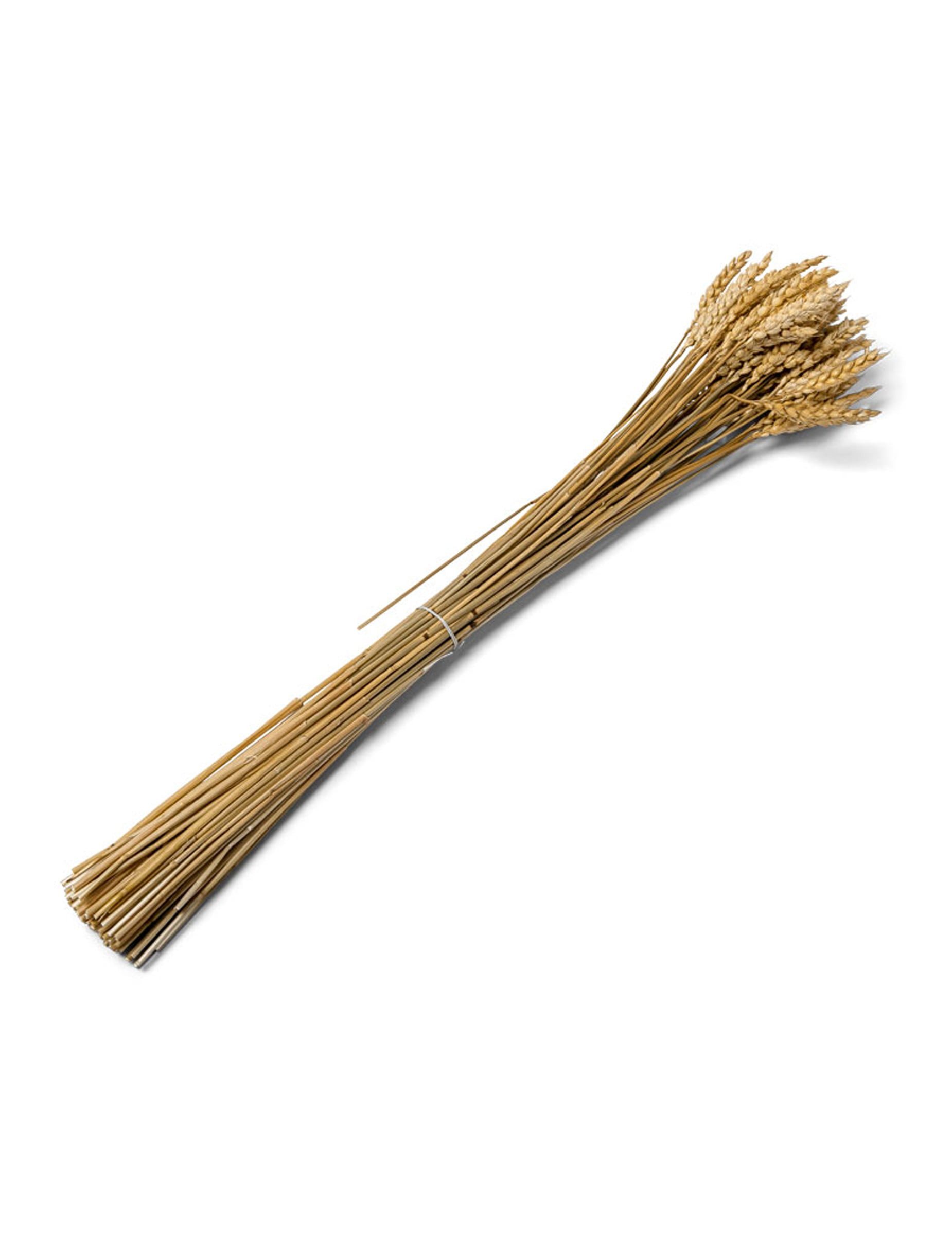 Kostüm Weizen-Ähren Partydeko 25 Stück braun 60cm