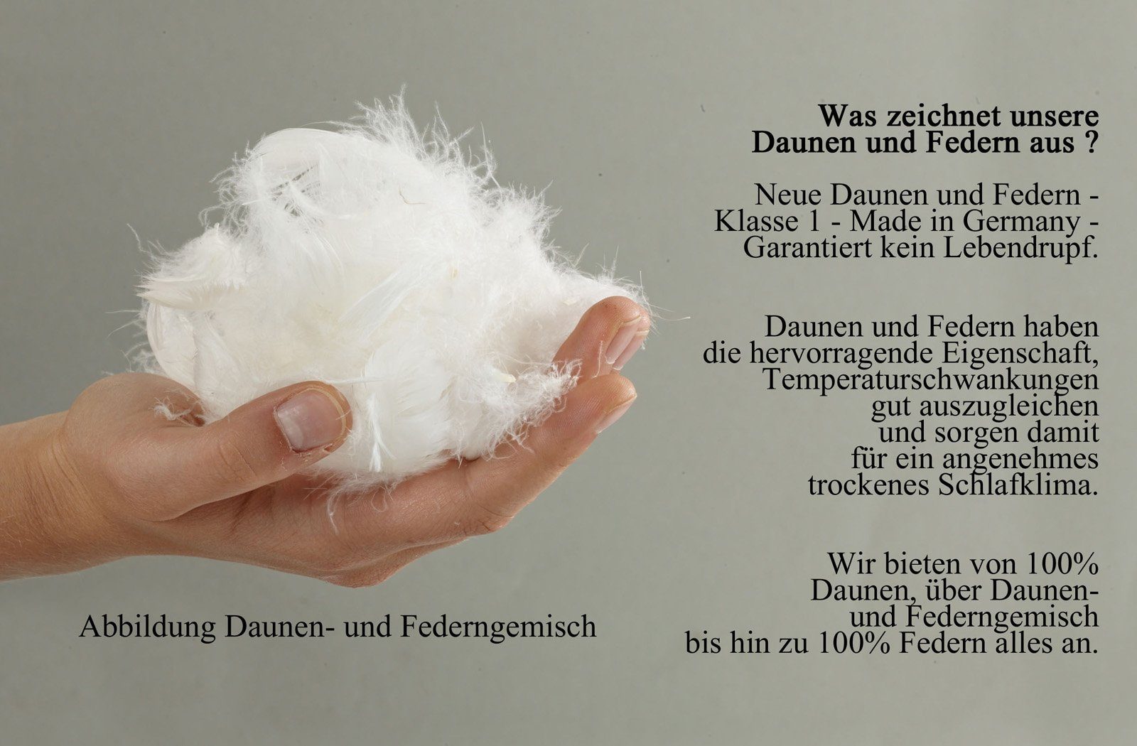 franknatur Gänsefederkopfkissen Christin, Füllung: 70% Gänsefedern, günstig online kaufen