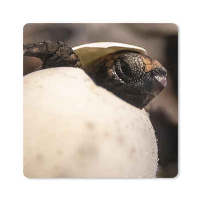 MuchoWow Gaming Mauspad Schildkröte - Baby - Ei (1-St), Gaming, Rutschfester Unterseite, Mausunterlage, 80x80 cm, XXL, Großes